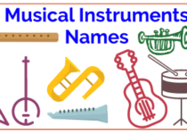 Musical Instruments In Hindi