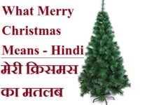 What Merry Christmas Means - Hindi