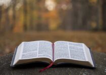 Bible Verses About Faith and Trust