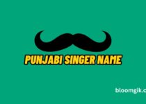 Punjabi Singer Name