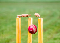 Stumps Meaning in Cricket in Hindi