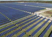 Which is the first e-commerce company to set up solar farms in India?