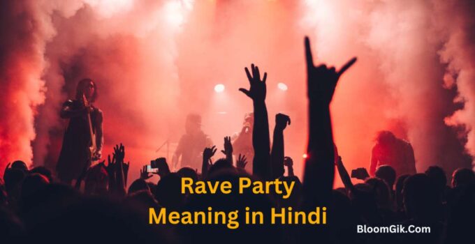 Rave Party Meaning in Hindi