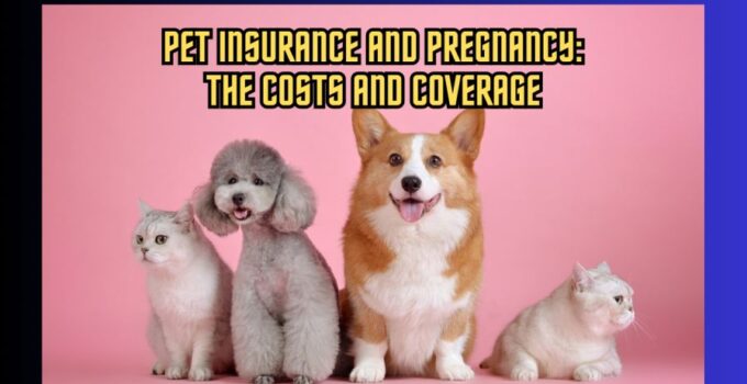 Pet Insurance and Pregnancy Navigating the Costs and Coverage